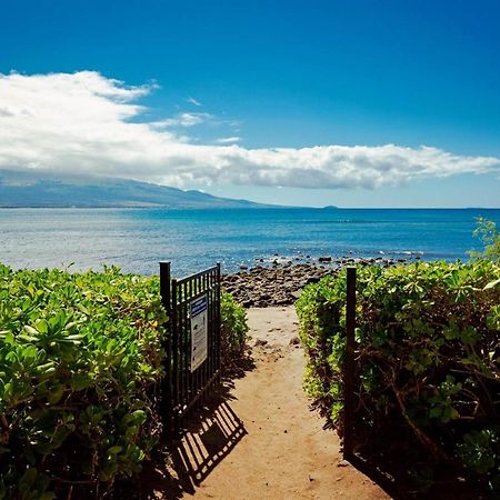 Stunning Maui Direct Ocean Front On The Beach, Walk To Beach From Condo, Watch Turtles, Whales, Ac In All Rooms Ocean View Pool And Spa Wailuku Экстерьер фото